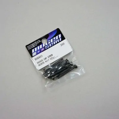 B0660/1 SG 3x25 Cap Screw (10pcs)